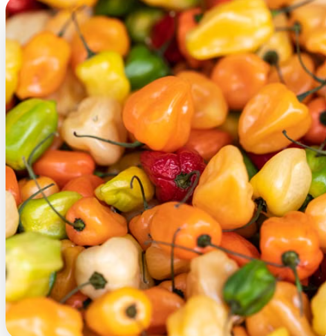 Fresh Scotch bonnet peppers and island seasonings